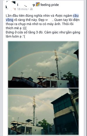 Dan mang nong cau vong sau mua giong 